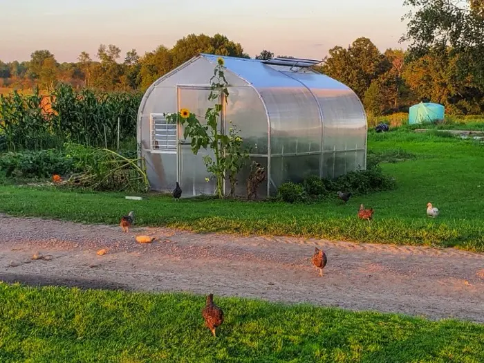 Greenhouse
