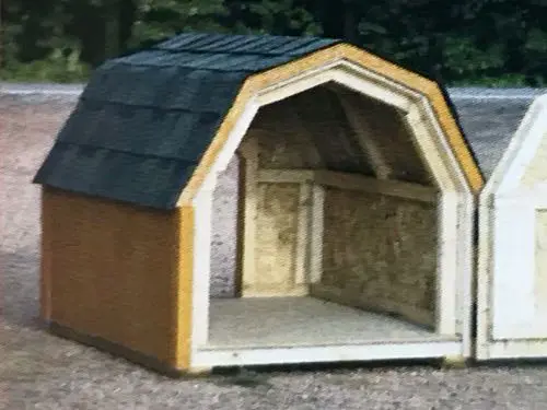 Pet Shelter