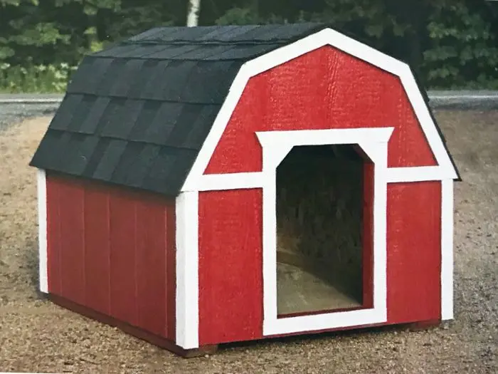 Pet Shelter - Scarlet